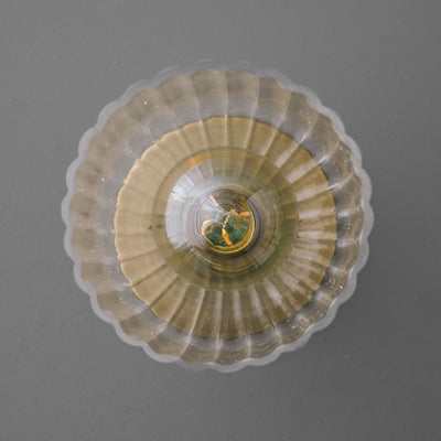 CEILING LIGHT MODEL NO. 1116