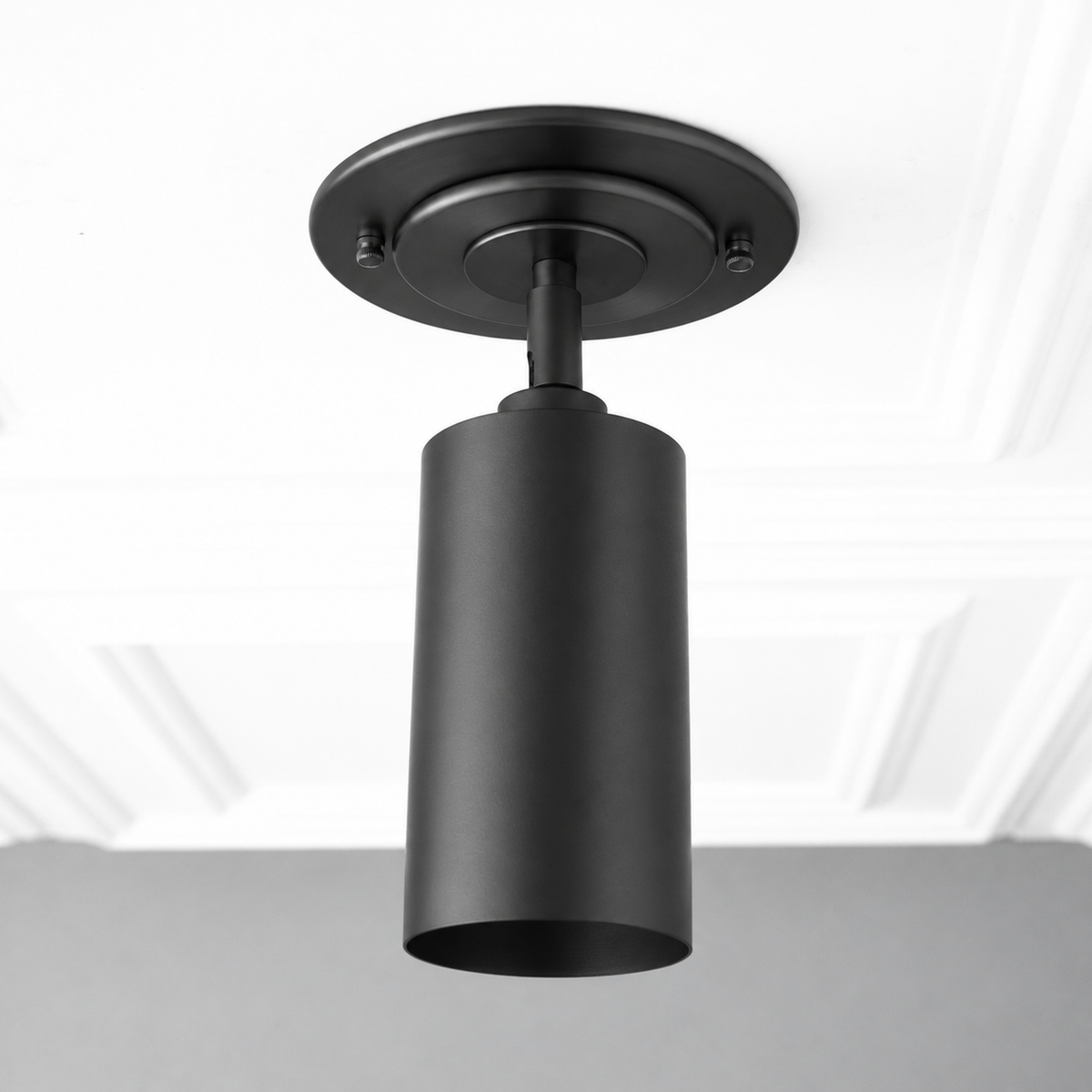 CEILING LIGHT MODEL NO. 4596 in Black