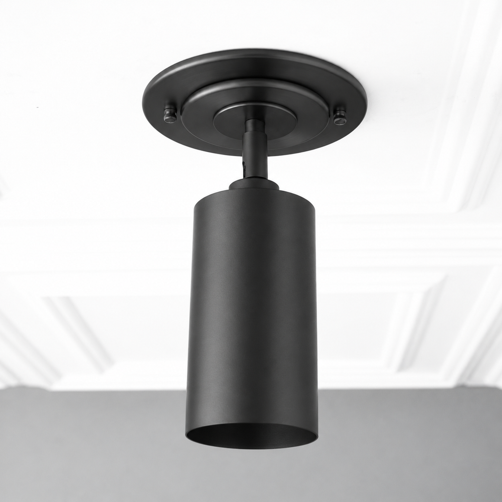CEILING LIGHT MODEL NO. 4596 in Black