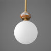 PENDANT MODEL NO. 7303