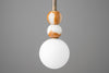 PENDANT MODEL NO. 6455