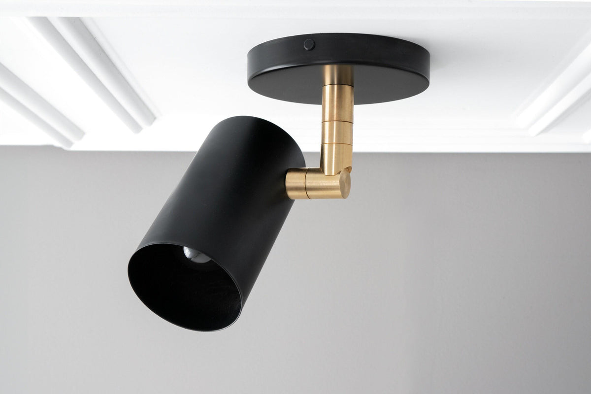 Ceiling spotlight with a Black canopy and cylinder shade on a Raw or Sealed Brass swivel arm, angled below a molded ceiling. - CEILING LIGHT MODEL NO. 4287