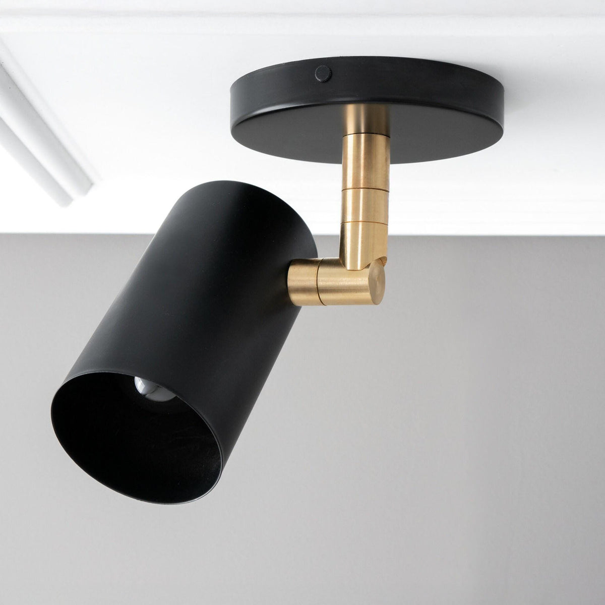 Ceiling spotlight with a Black canopy and cylinder shade on a Raw or Sealed Brass swivel arm, mounted below a molded ceiling. - CEILING LIGHT MODEL NO. 4287
