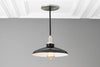 PENDANT MODEL No. 8506