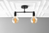 CEILING LIGHT MODEL NO. 8025
