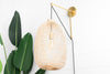 PLUG IN LIGHT MODEL No. 3541