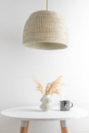 PENDANT MODEL No. 6007
