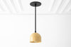 PENDANT MODEL No. 8906