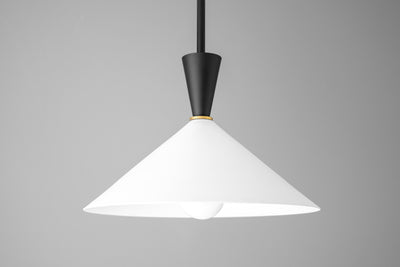 PENDANT MODEL NO. 6767