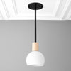 Pendant Lamp - Dome Light - Ceiling Light - Scandinavian Light - Model No. 2712