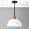 Pendant Model No. 5544