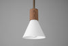 PENDANT MODEL NO. 5216