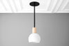 PENDANT MODEL NO. 2712