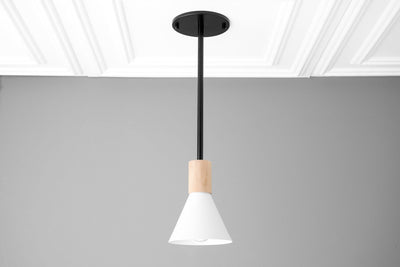 PENDANT MODEL NO. 5216