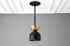 PENDANT MODEL NO. 5035