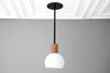 PENDANT MODEL NO. 2712