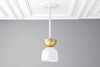 PENDANT MODEL NO. 5035