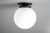 CEILING LIGHT MODEL NO. 1163