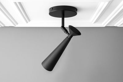 CEILING LIGHT MODEL NO. 1835