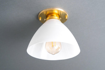 CEILING LIGHT MODEL NO. 3635