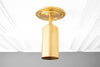 CEILING LIGHT MODEL NO. 4596