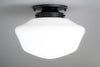 CEILING LIGHT MODEL NO. 4339