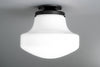 CEILING LIGHT MODEL NO. 5987
