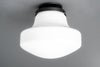 CEILING LIGHT MODEL NO. 5987