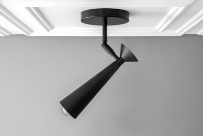 CEILING LIGHT MODEL NO. 1835