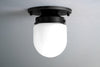 CEILING LIGHT MODEL NO. 9535