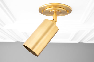 CEILING LIGHT MODEL NO. 4596