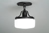 CEILING LIGHT MODEL NO. 2239