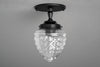 CEILING LIGHT MODEL NO. 9860