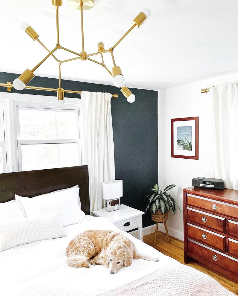 Mid-century modern raw brass chandelier with multiple bare bulb arms above bed with white bedding and sleeping dog. - CHANDELIER MODEL NO. 5056
