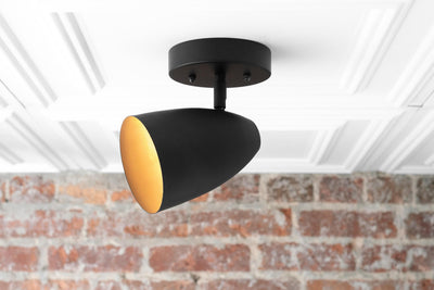 CEILING LIGHT MODEL NO. 4335