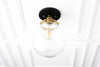 CEILING LIGHT MODEL NO. 6365