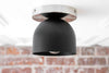 CEILING LIGHT MODEL NO. 1107