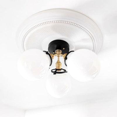 CEILING LIGHT MODEL NO. 0210