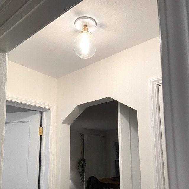 CEILING LIGHT MODEL NO. 1653