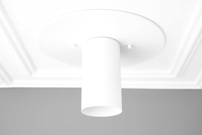CEILING LIGHT MODEL NO. 8226