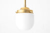 PENDANT MODEL NO. 5955