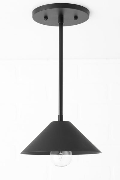 PENDANT MODEL NO. 2293