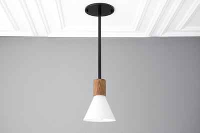 PENDANT MODEL NO. 5216