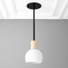 PENDANT MODEL NO. 2712