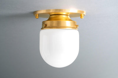 CEILING LIGHT MODEL NO. 9535