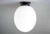CEILING LIGHT MODEL NO. 8571