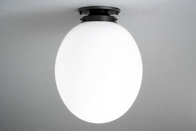CEILING LIGHT MODEL NO. 8571