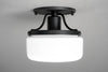 CEILING LIGHT MODEL NO. 2092