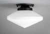 CEILING LIGHT MODEL NO. 5862