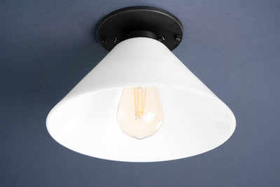 CEILING LIGHT MODEL NO. 3808